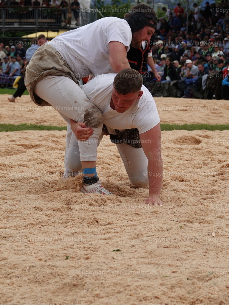 DSC08036 | Schwingen - Realisiert mit Pictrs.com