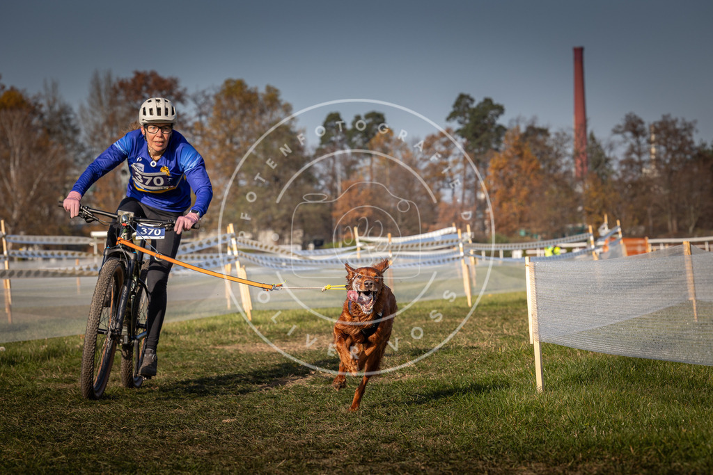 CaniXpix_0L8A7792 | Hundefotografie, Tierfotograf, Pfotenfotografie, Fotoshooting Hund, Hunde Portrait, Hundesport, Hundeportraits, Heideshooting, Hunde, Sportfotograf, Hundefotograf, Turnierhundsport, THS,  - Realisiert mit Pictrs.com