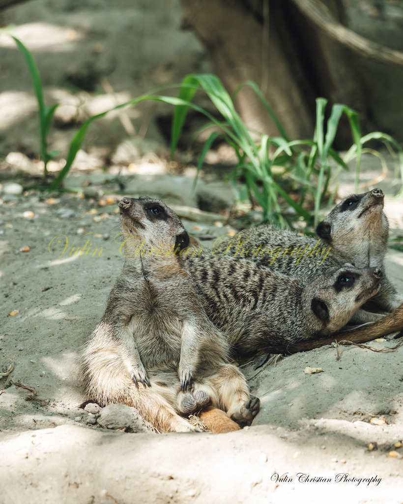 PH 4 | Christian Vulin  - Realisiert mit Pictrs.com