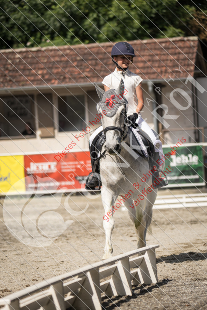 IMG_4979 | Sport-, Event- und Tierfotos in Profiqualität. Einfach auswählen, bestellen und herunterladen. Dein Moment – perfekt festgehalten.