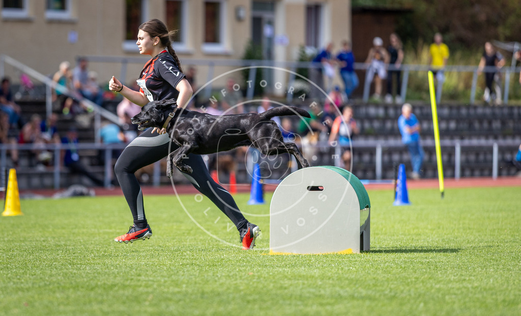 Pfotenfotografie_DV3A1005 | Hundefotografie, Tierfotograf, Pfotenfotografie, Fotoshooting Hund, Hunde Portrait, Hundesport, Hundeportraits, Heideshooting, Hunde, Sportfotograf, Hundefotograf, Turnierhundsport, THS,  - Realisiert mit Pictrs.com