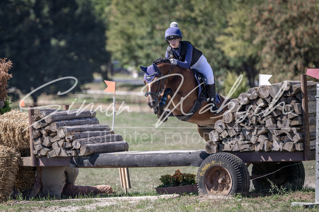 20260906-_3LI3769 | Tierfotografie Pferde, Hunde, Katzen, Haustiere.
Turnierfotografie Reitturniere, Reiten, Springreiten, Dressur in Hanau, dem Main-Kinzig-Kreis und dem Rhein-Main- Gebiet um Frankfurt