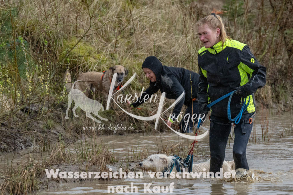 1544_ZZ91005 | kk-dogfotos