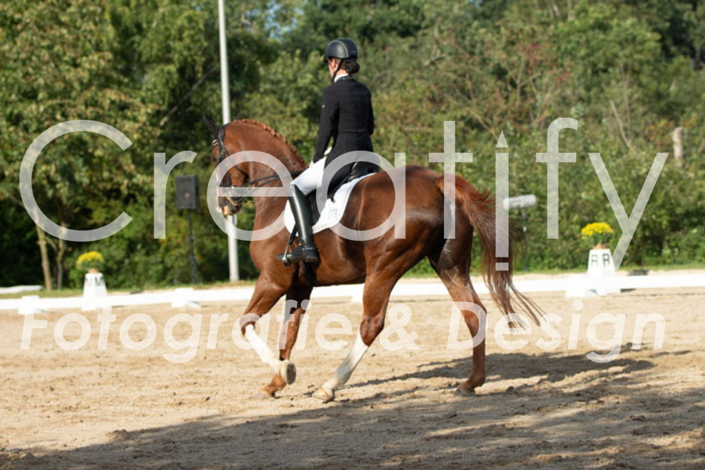 IMG_4904 | Creatify Fotografie