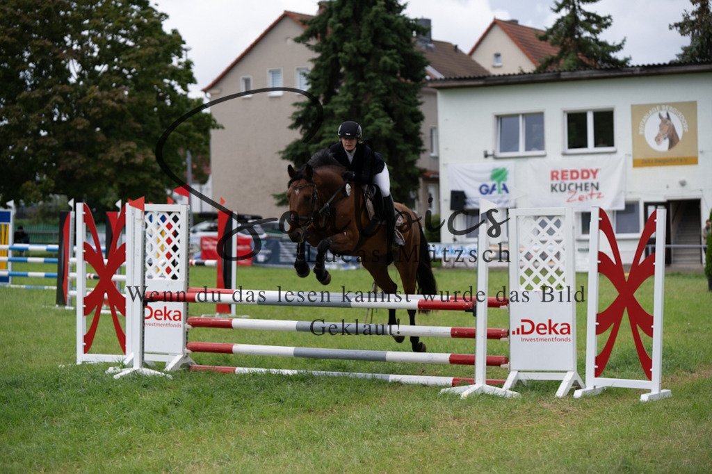 A7V03959 | Pferdefotograf