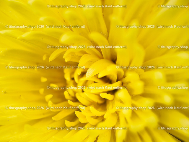 titusgraphy-P6100512_var-125 | Fotokunstarbeit aus der INSTAGRAM-Gallerie auf titusgraphy.eu - Realisiert mit Pictrs.com