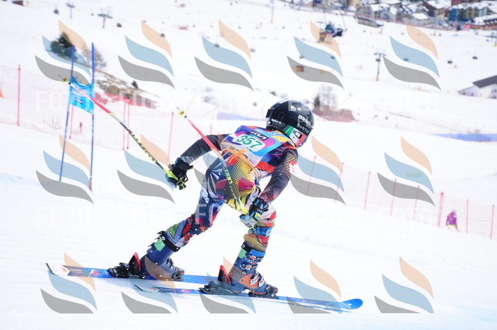 DSC_3433 | holidayphoto