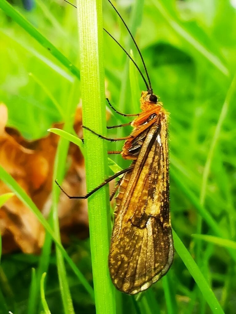 PSX_20220915_140859 | mtkfoto_ - Realisiert mit Pictrs.com