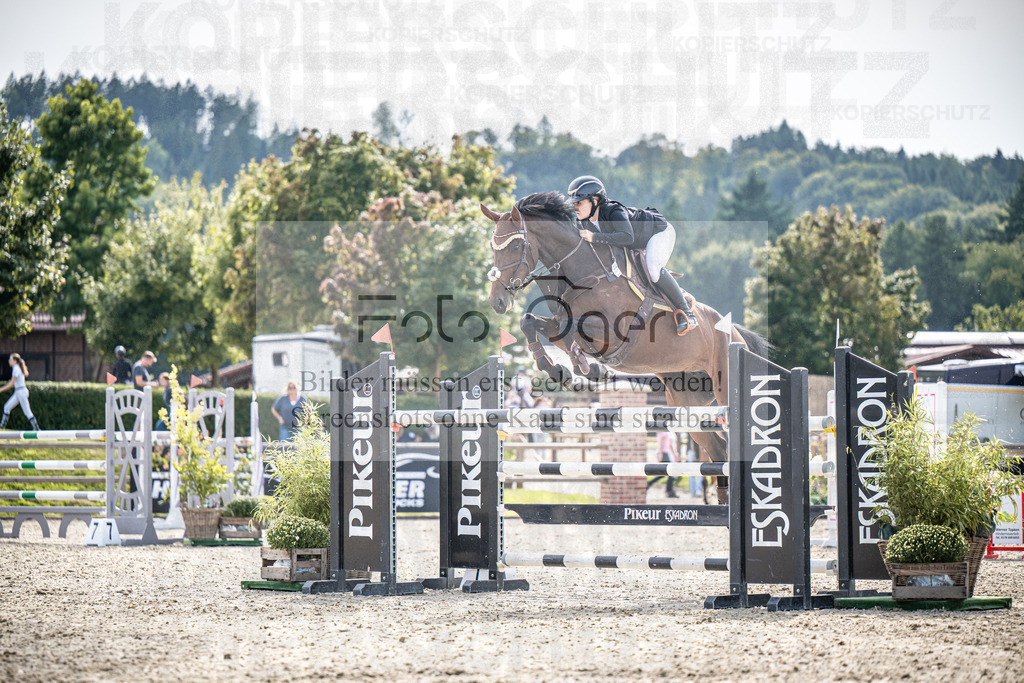 DOS_0820 | Entdecke hochwertige Reitturnierfotos von Foto Oger. Professionell, emotional und authentisch – jetzt Lieblingsmomente im Shop bestellen.Deutschlandweite Turnierfotografie. - Realisiert mit Pictrs.com