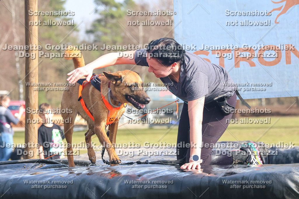 Dog Paparazzi - Strongdog North Mrz26-2040 | Dog Paparazzi Jeanette Grottendiek Fotografie & Videografie - Realisiert mit Pictrs.com