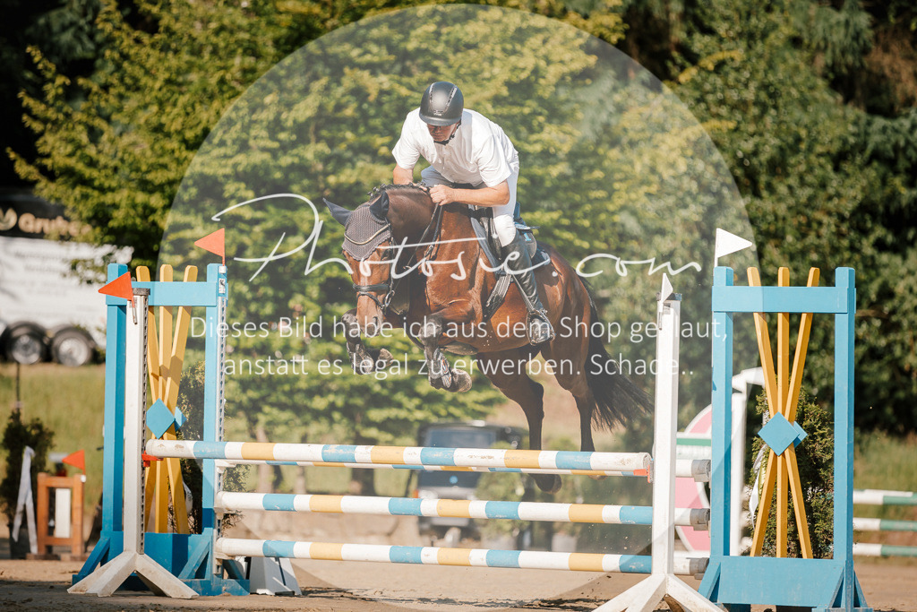 3I6A6336 | Stimmungsvolle Portraits und Reitsportfotografie im Ruhrgebiet und im Münsterland.

Pferdefotografie, Hundefotografie, Tierfotografie, Reportagen, Portraits von Tier und Mensch, Turnierfotografie in Bochum, Recklinghausen, Marl, Haltern am See, Dülmen.. - Realisiert mit Pictrs.com