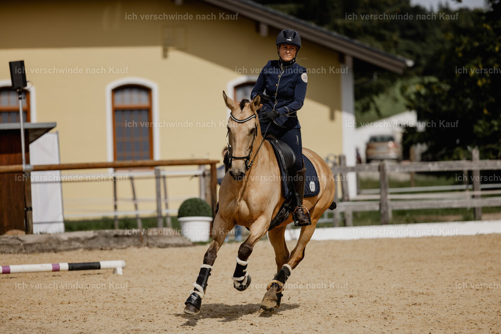 Diana11_FHC2025-20548 | working equitationturnier fotograf videograf stoibphotography marixx film working equitation deutschland reitsport turnierfotografie eventfotografie equestrian events
