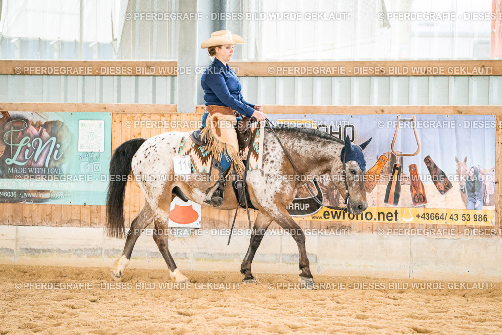 DSC01009 | Pferdegrafie