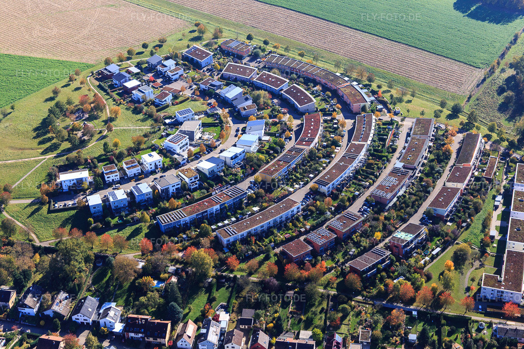 Luftbild: Halkreisförmige Wohnanlage Fünzig Morgen im Ortsteil Hohenwettersbach in Karlsruhe im Bundesland Baden-Württemberg in Deutschland. Foto: IMG_129884.jpg vom 24.10.2021 durch Werner Riehm/FLY-FOTO.de