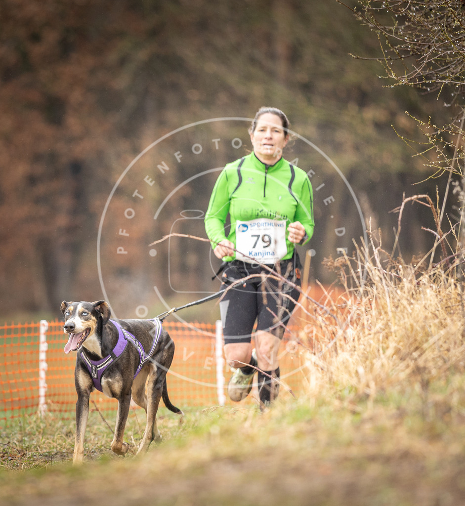 DV3A0309 | Hundefotografie, Tierfotograf, Pfotenfotografie, Fotoshooting Hund, Hunde Portrait, Hundesport, Hundeportraits, Heideshooting, Hunde, Sportfotograf, Hundefotograf, Turnierhundsport, THS,  - Realisiert mit Pictrs.com