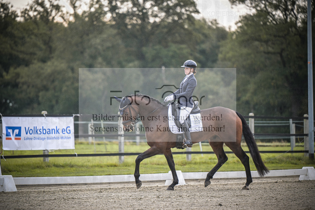DOS_1442 | Entdecke hochwertige Reitturnierfotos von Foto Oger. Professionell, emotional und authentisch – jetzt Lieblingsmomente im Shop bestellen.Deutschlandweite Turnierfotografie. - Realisiert mit Pictrs.com