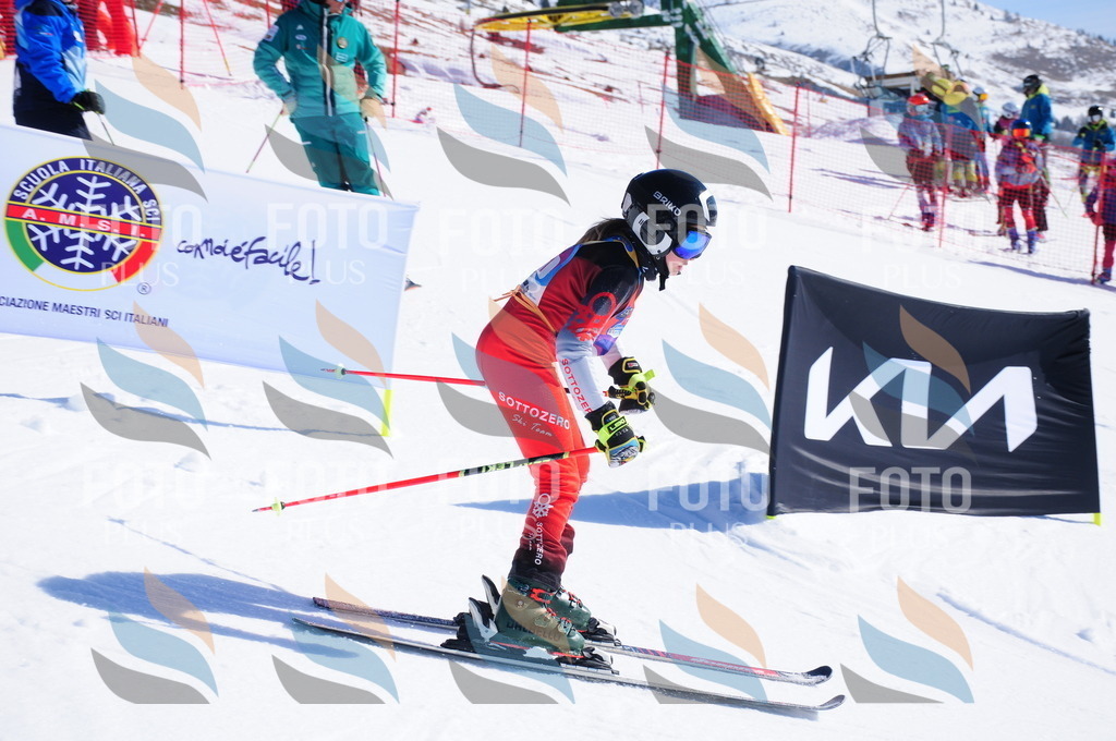 DSC_3713 | holidayphoto