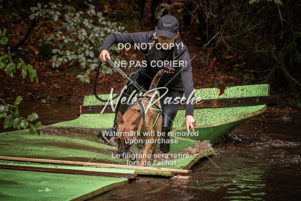 nelerasche_Wingst_Sa1330-1400_77 | nelerasche