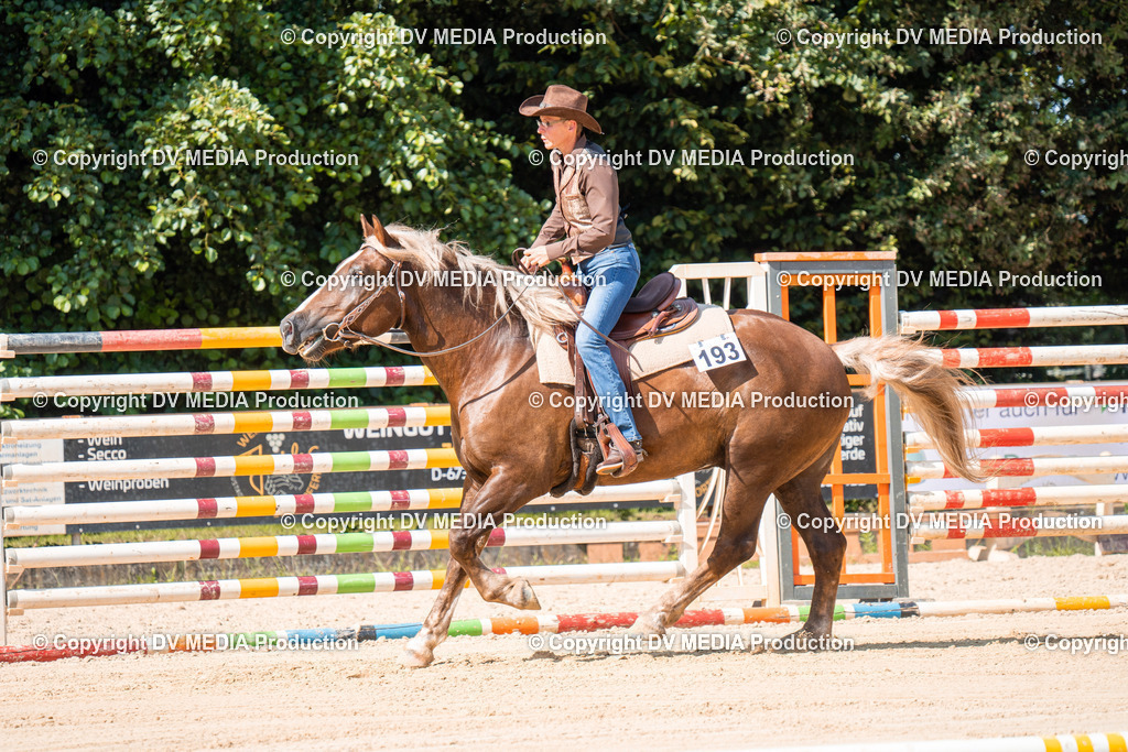 ZH100678 | dv-media-shop - Realisiert mit Pictrs.com