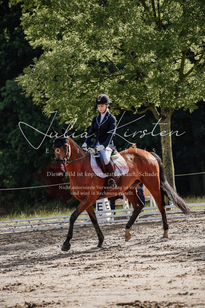 DSC_8476 | Pferde- und Turnierfotografie in Westsachsen. Pferdeportraits, Auftragszeichnungen und intuitive Kunst.