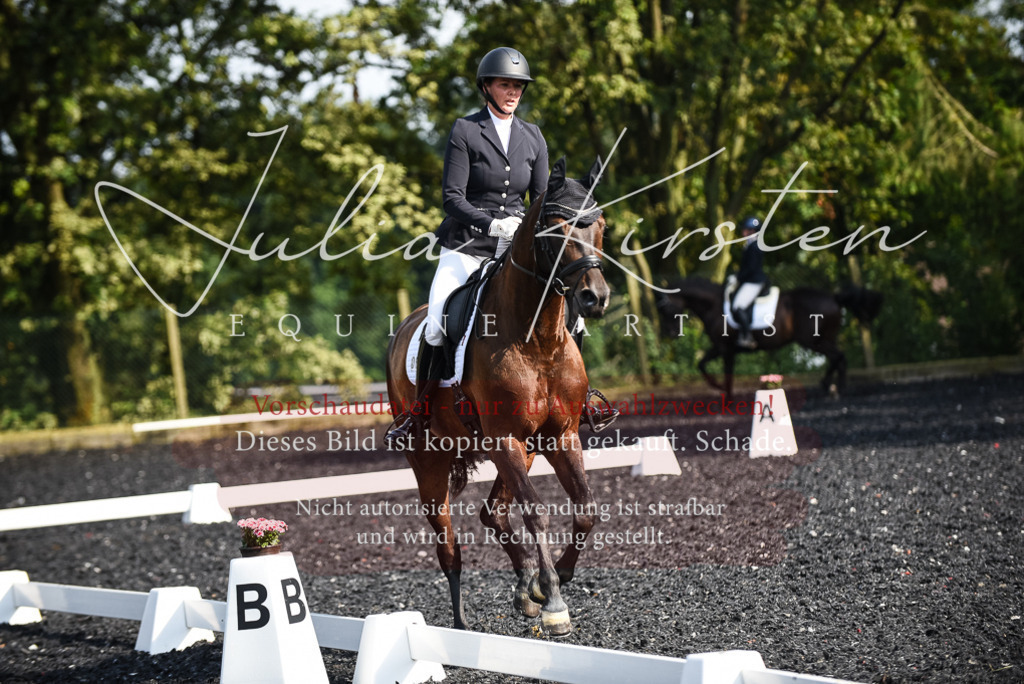 DSC_3119 | Pferde- und Turnierfotografie in Westsachsen. Pferdeportraits, Auftragszeichnungen und intuitive Kunst.