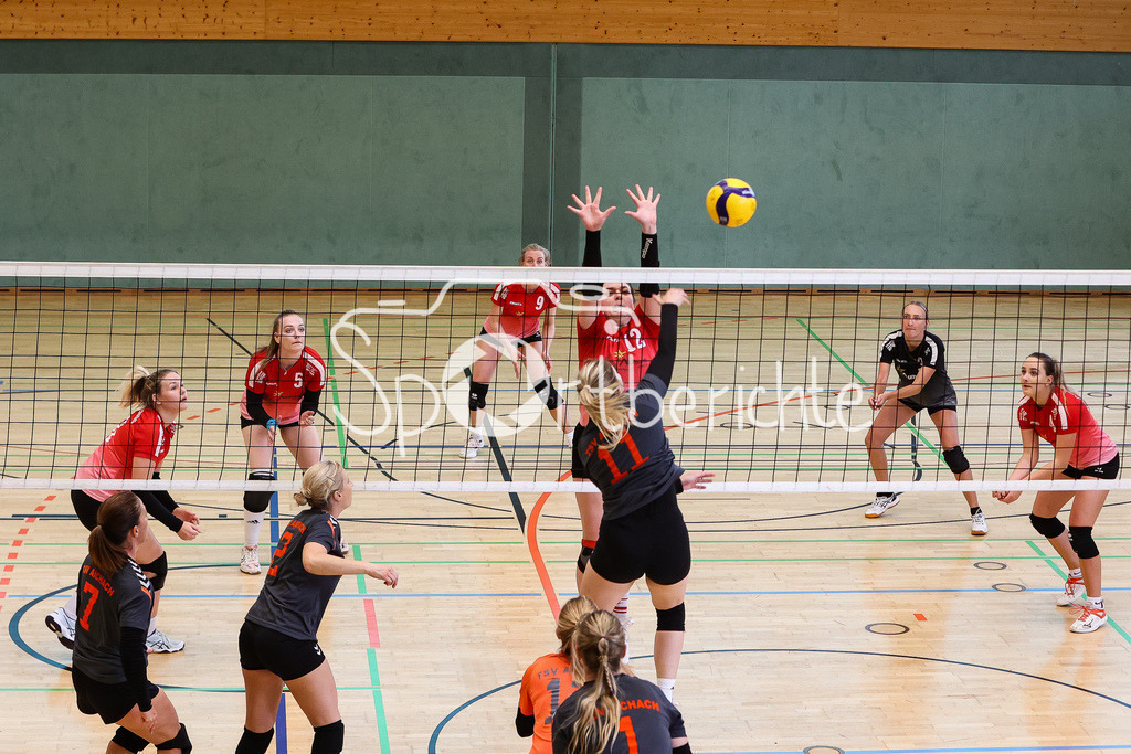 SG Aichach/Inchenhofen - TSV Friedberg | Professionelle Sportfotos aus den Bereichen Fußball, Eishockey, Handball und vieles mehr. Ob Sieg oder Niederlage