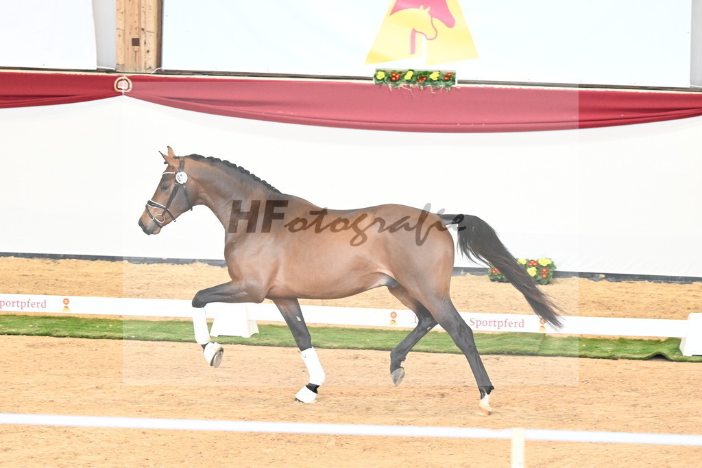 Kat.-Nr. 73 v. Va Bene_Kuntz_2240980 | hf-fotografie - Realisiert mit Pictrs.com