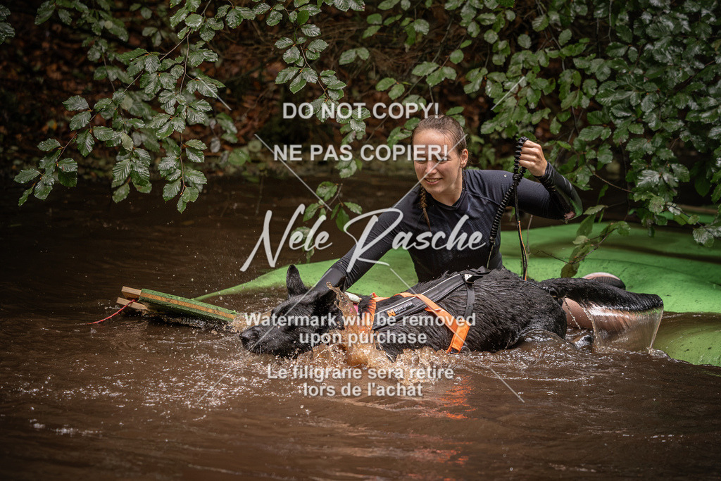 nelerasche_Wingst_Sa1330-1400_292 | nelerasche
