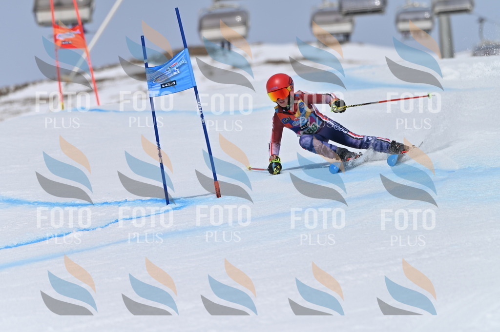 BGV_3650 | holidayphoto