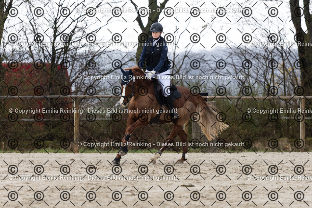 CL5A4012 | Emilia Reinking Fotografie - Realisiert mit Pictrs.com