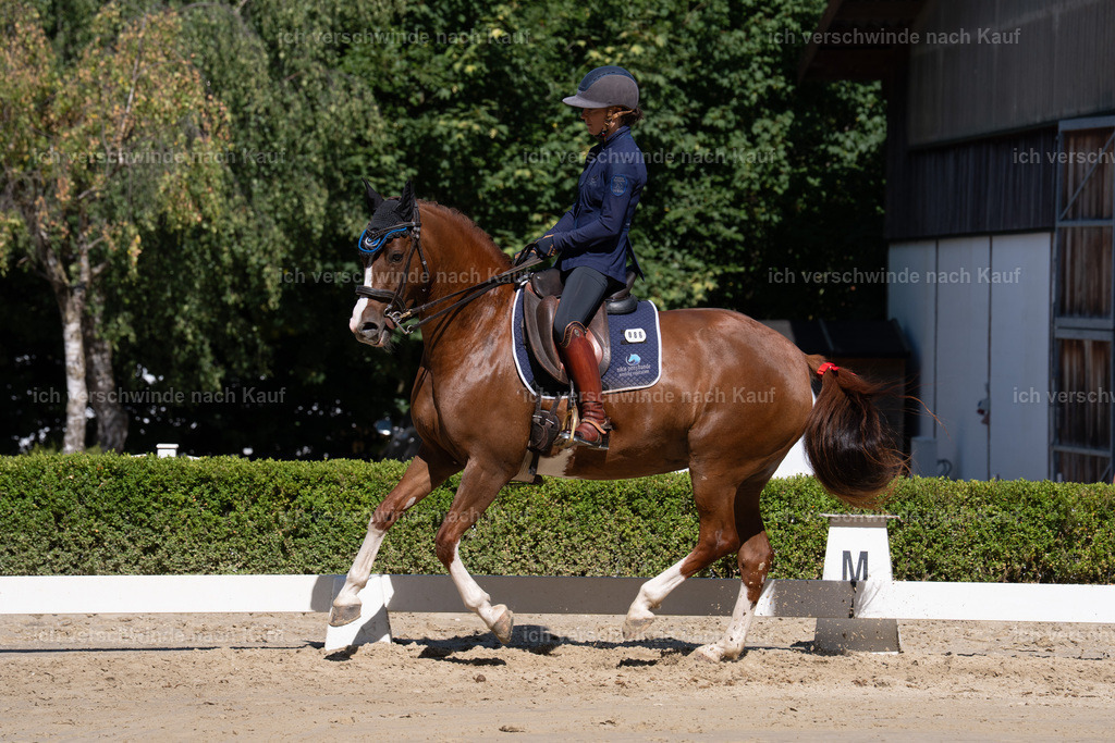 WL_DR_86_sinafilmart_IN06998 | working equitationturnier fotograf videograf stoibphotography marixx film working equitation deutschland reitsport turnierfotografie eventfotografie equestrian events