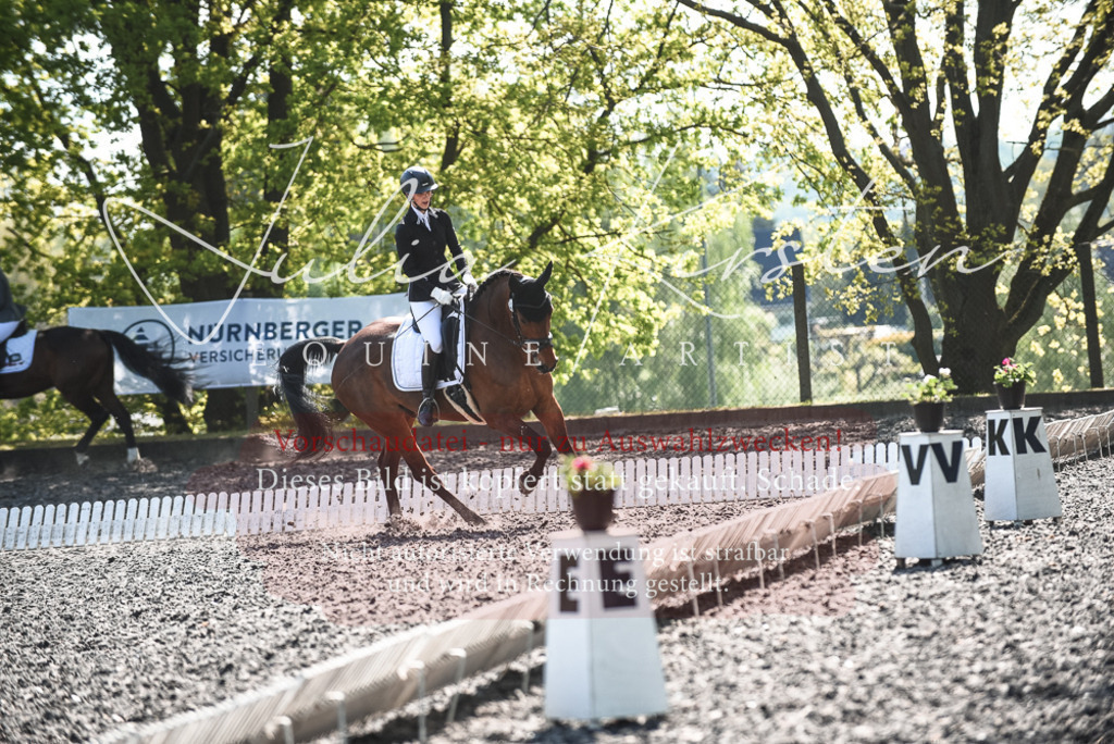 DSC_8932 | Pferde- und Turnierfotografie in Westsachsen. Pferdeportraits, Auftragszeichnungen und intuitive Kunst.