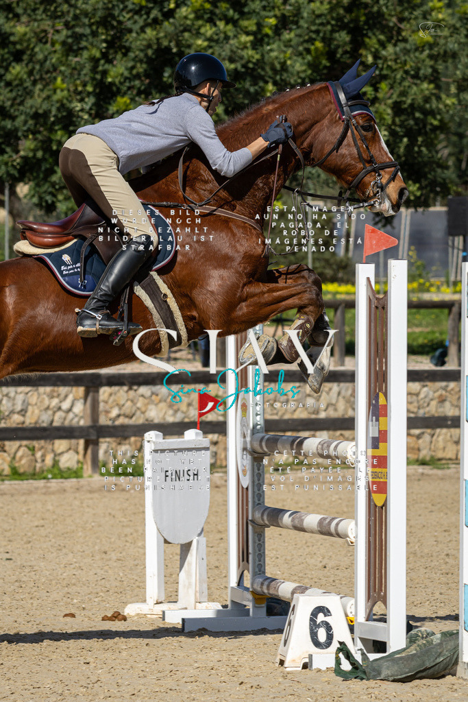 IMG_6559 | s-jay-photography - Realisiert mit Pictrs.com