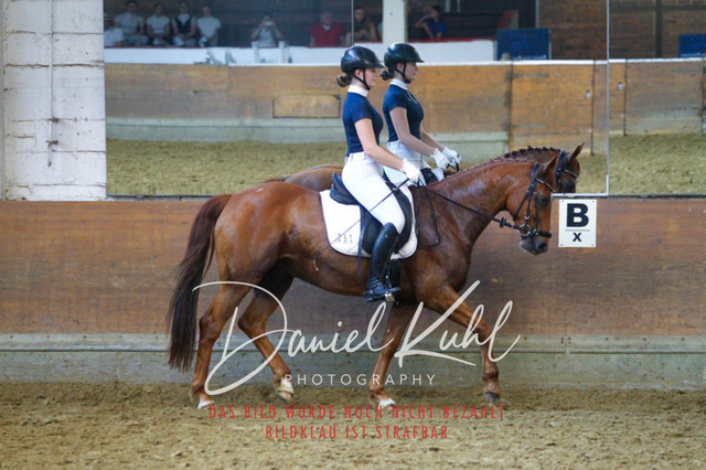 DKP44370 | Turniersportfotografie; Pferdefotografie; Dressurfotografie