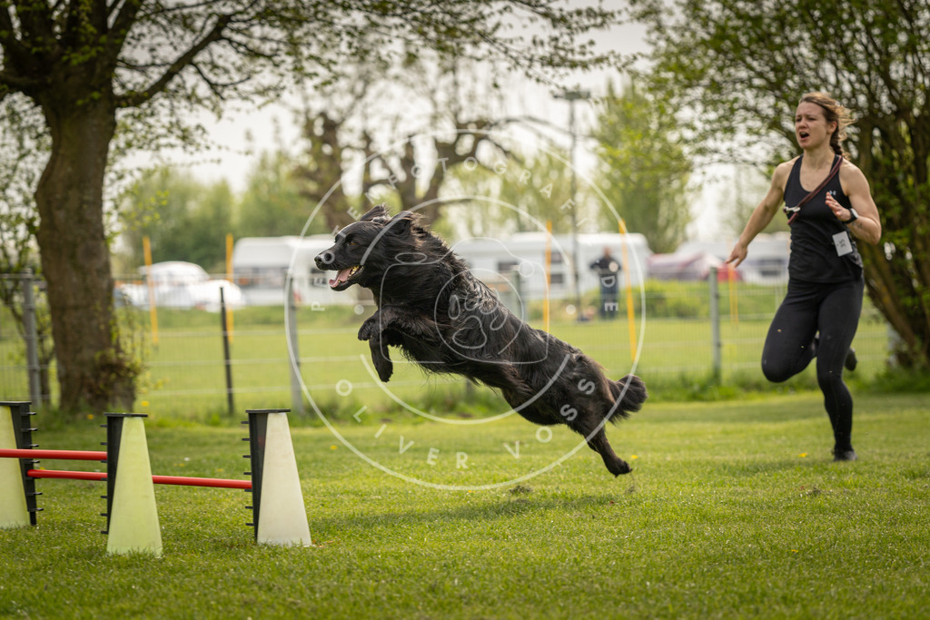 Pfotenfotografie_DV3A6392 | Hundefotografie, Tierfotograf, Pfotenfotografie, Fotoshooting Hund, Hunde Portrait, Hundesport, Hundeportraits, Heideshooting, Hunde, Sportfotograf, Hundefotograf, Turnierhundsport, THS,  - Realisiert mit Pictrs.com