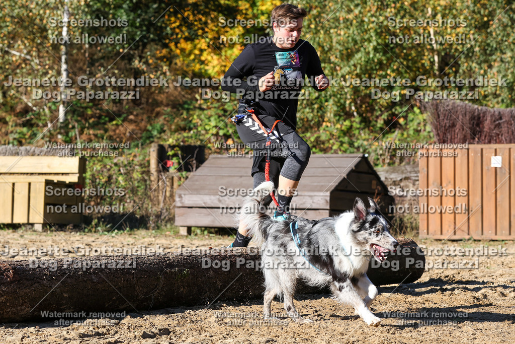 Dog Paparazzi - Strongdog 10-25-2195 | Dog Paparazzi Jeanette Grottendiek Fotografie & Videografie - Realisiert mit Pictrs.com