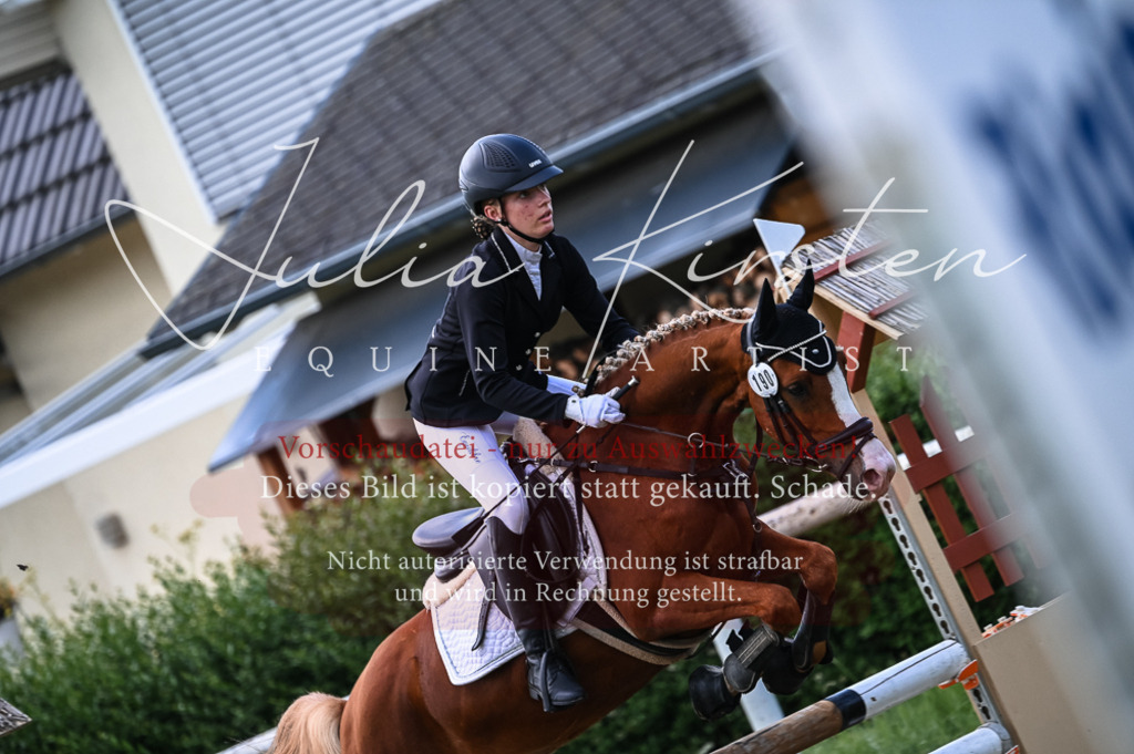 DSC_8092 | Pferde- und Turnierfotografie in Westsachsen. Pferdeportraits, Auftragszeichnungen und intuitive Kunst.
