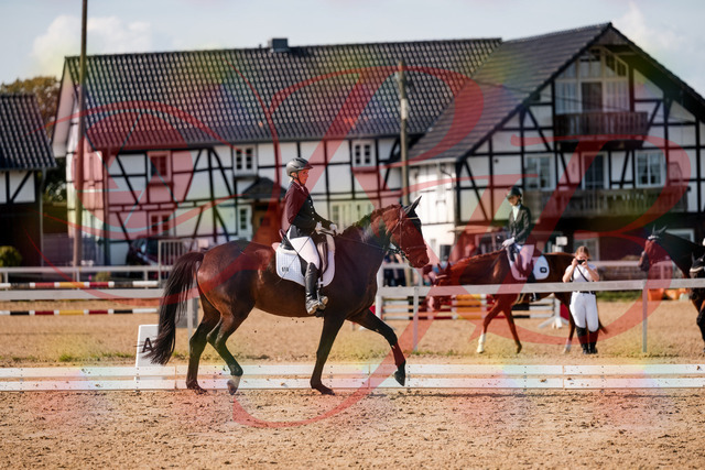 2026_10_03_Siefer-Hof_133612_Z63_96294149 | Professionelle Reitsport-, Turnier- und Eventfotografie von Robert Broda. Galerien mit ausgewählten und bearbeiteten Bildern direkt online ansehen und bestellen.