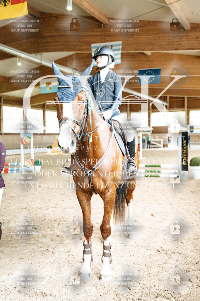 CK703422 | Turnierfotografie Pferdefotografie Trier Rheinland-Pfalz Pferdesport Reitsport Tierfotografie Sportfotografie Pferdevideo Pferdevideografie Equestrianvideography equestrianphotography  - Realisiert mit Pictrs.com