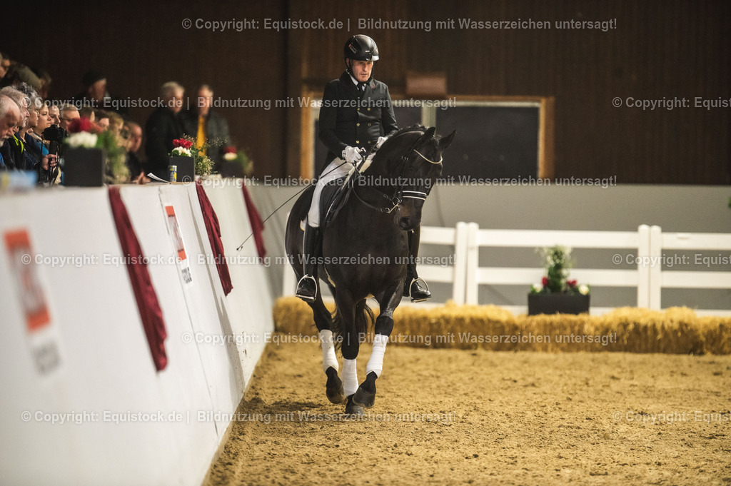 20240302_Hengstvorstellung_Marbach_TOMsPiC_1419 | equistock