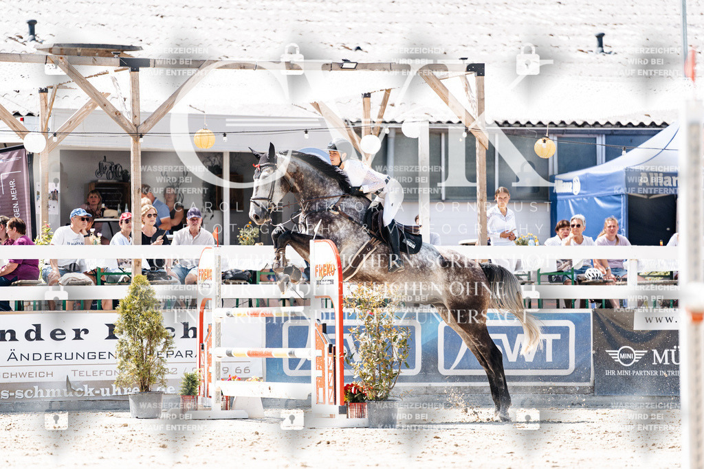CK900010 | Turnierfotografie Pferdefotografie Trier Rheinland-Pfalz Pferdesport Reitsport Tierfotografie Sportfotografie Pferdevideo Pferdevideografie Equestrianvideography equestrianphotography  - Realisiert mit Pictrs.com