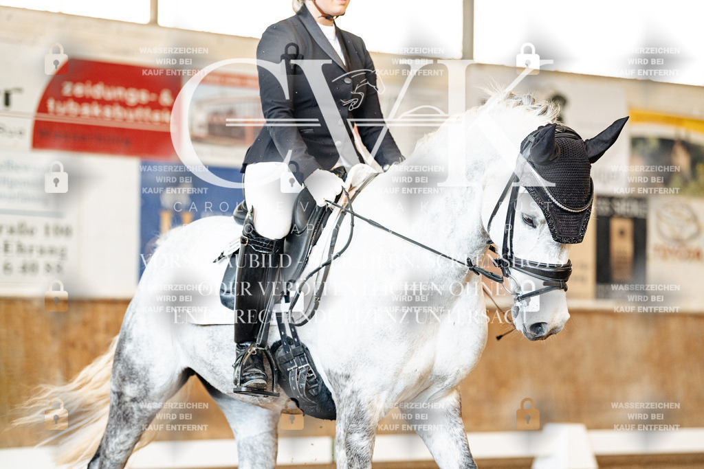 CK909598 | Turnierfotografie Pferdefotografie Trier Rheinland-Pfalz Pferdesport Reitsport Tierfotografie Sportfotografie Pferdevideo Pferdevideografie Equestrianvideography equestrianphotography  - Realisiert mit Pictrs.com