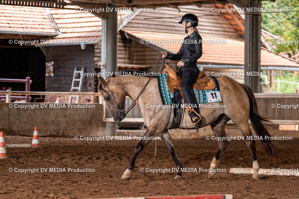 Erbach Tag 2-204 | dv-media-shop - Realisiert mit Pictrs.com