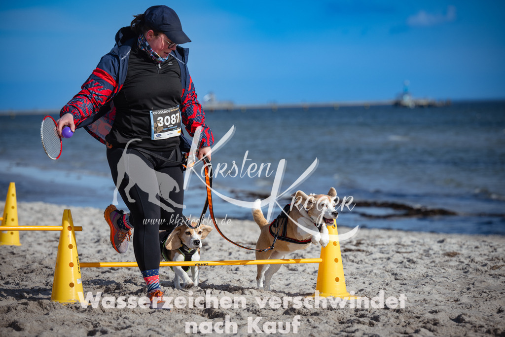 1332_ZZ91828 | kk-dogfotos