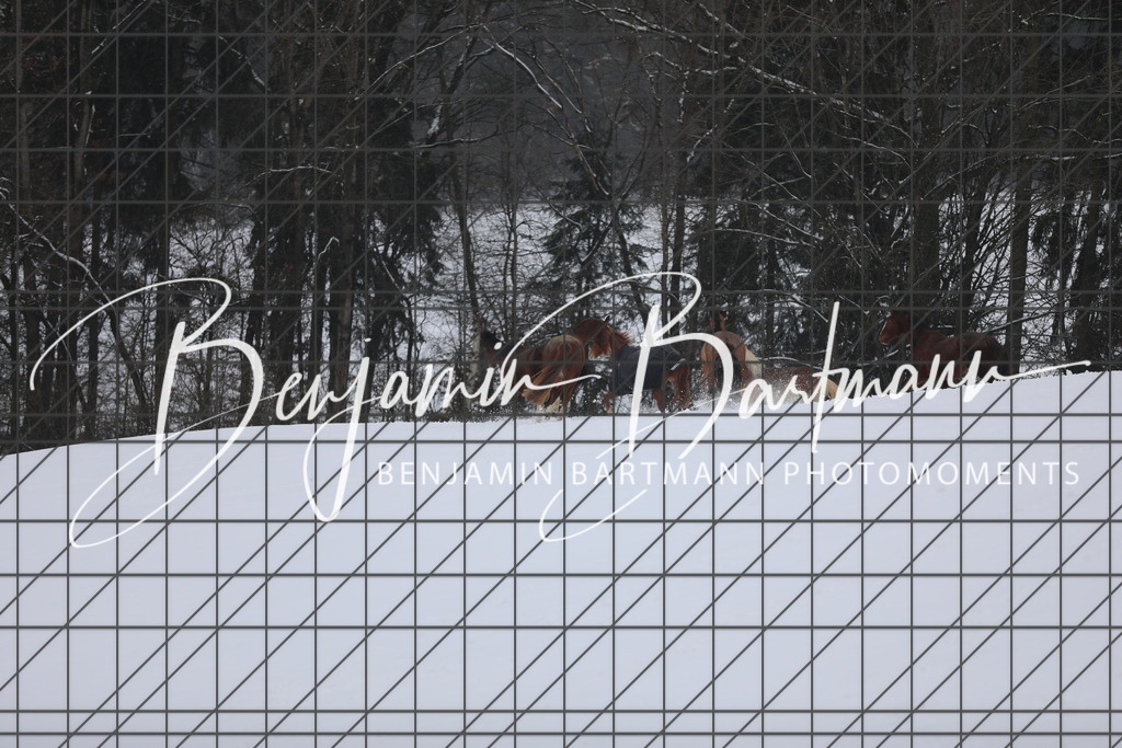 AZ2A3298 | Benjamin Bartmann Photomoments