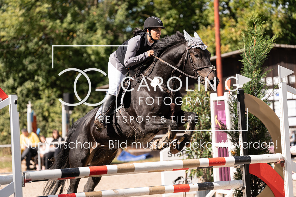 DSC03636 | Carolin Gieschke