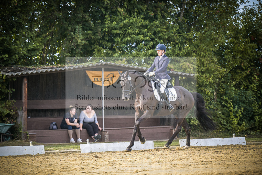 DOS_0639 | Entdecke hochwertige Reitturnierfotos von Foto Oger. Professionell, emotional und authentisch – jetzt Lieblingsmomente im Shop bestellen.Deutschlandweite Turnierfotografie. - Realisiert mit Pictrs.com