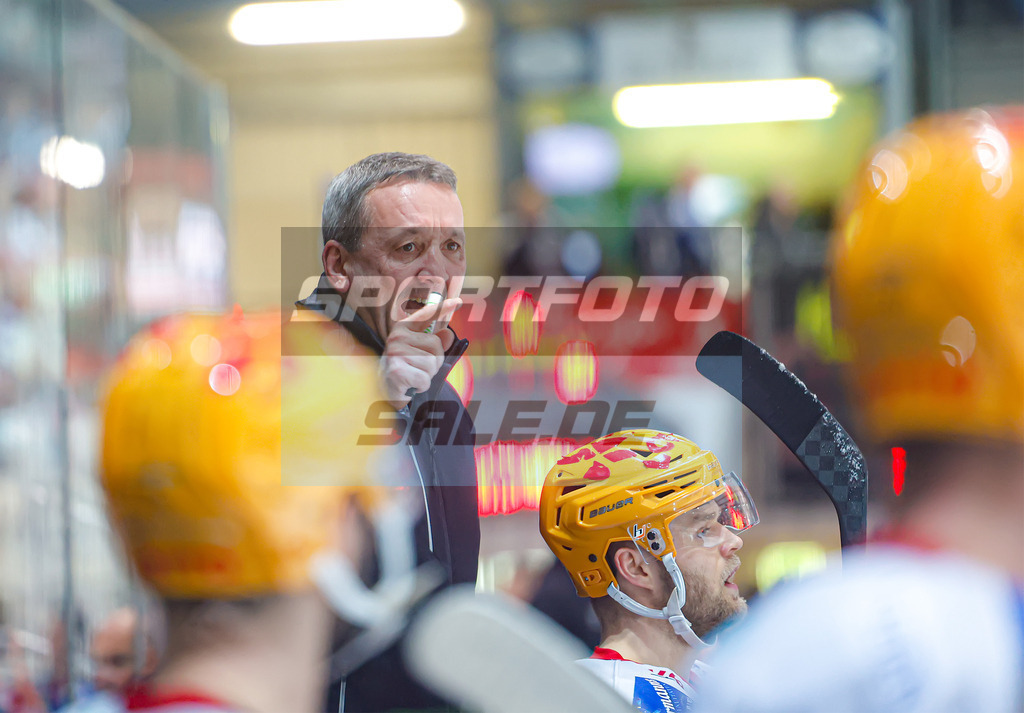 Iserlohn Roosters - Fischtown Pinguins Bremerhaven | Thomas Popiesch (Chef Trainer)
DEL: Iserlohn Roosters - Fischtown Pinguins Bremerhaven - Realisiert mit Pictrs.com