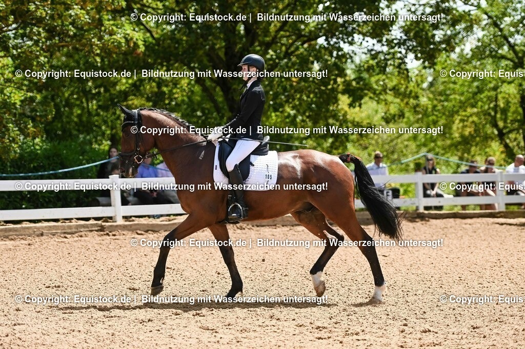 20230716_03_Dressurprfg. Kl.L - Tr._0060 | equistock
