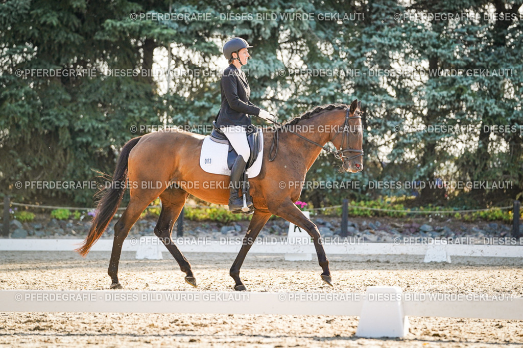 DSC08431 | Pferdegrafie